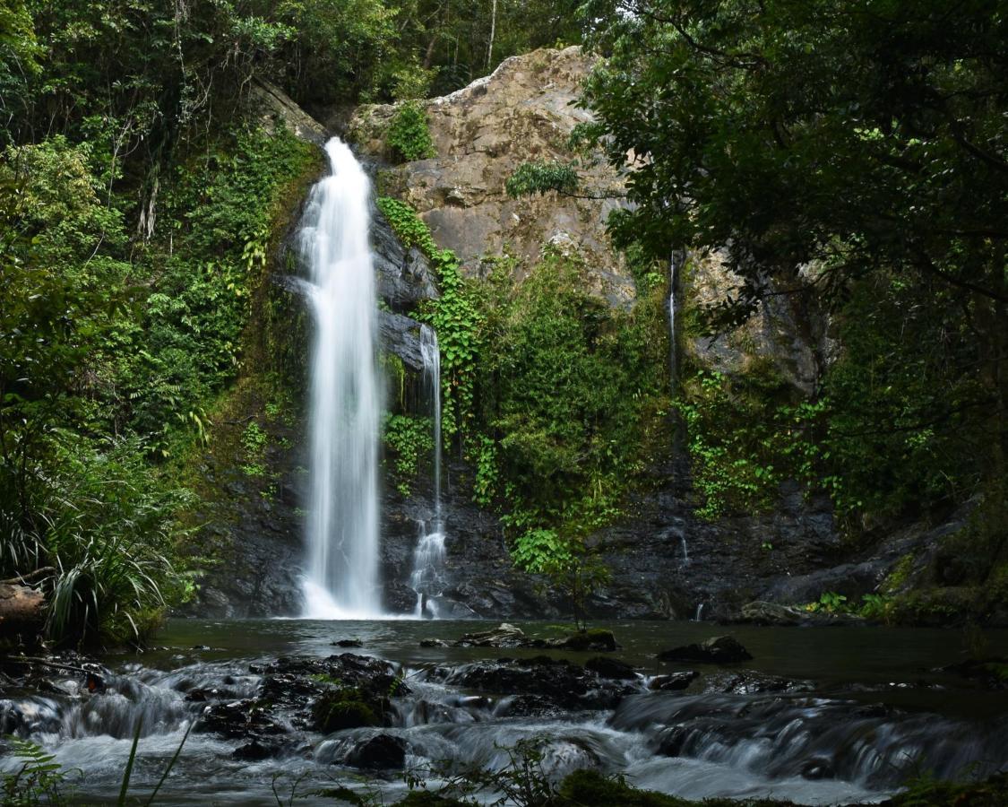 Cassowary Falls Gateway Дейнтри Экстерьер фото